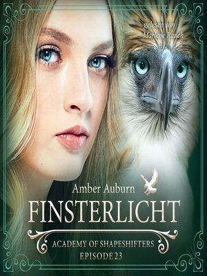 cover image of Finsterlicht, Episode 23--Fantasy-Serie